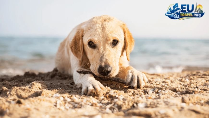 The Best Spots for a Splash