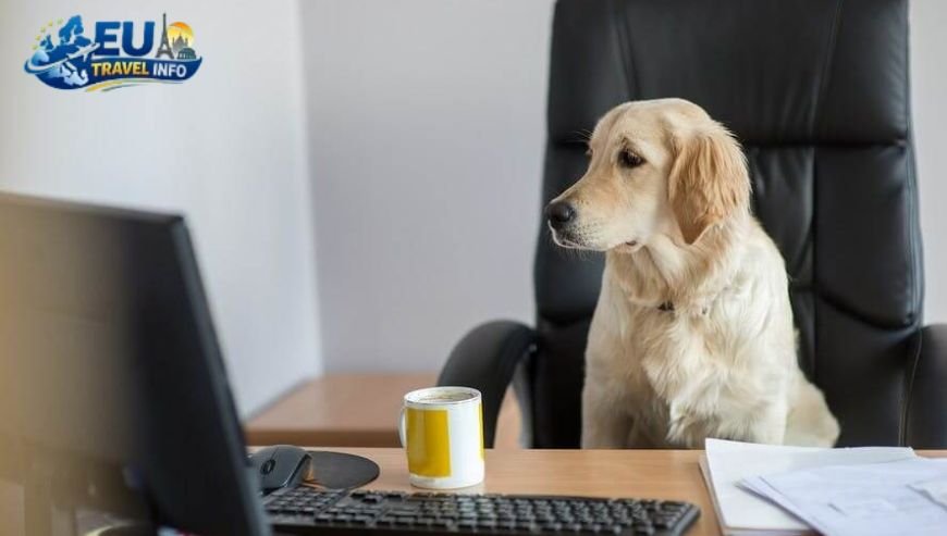 The Big Paperwork Checklist dog