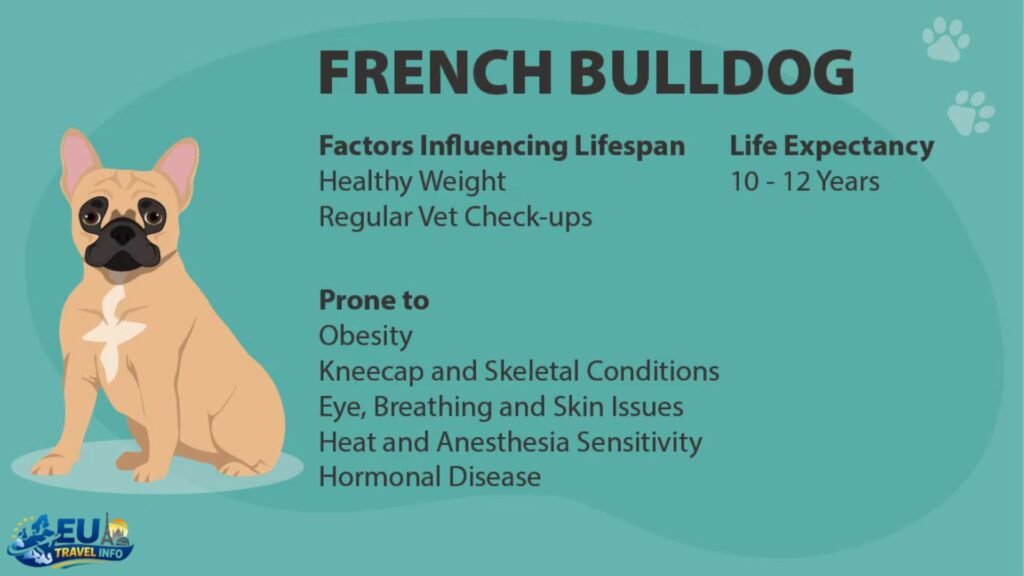 The Big Question: Why Choose France?