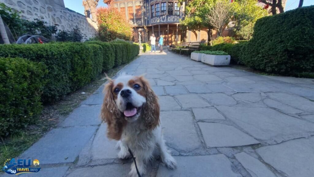 The Cultural Capital: Plovdiv