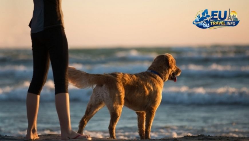 The Delights of the Hérault and Montpellier dog