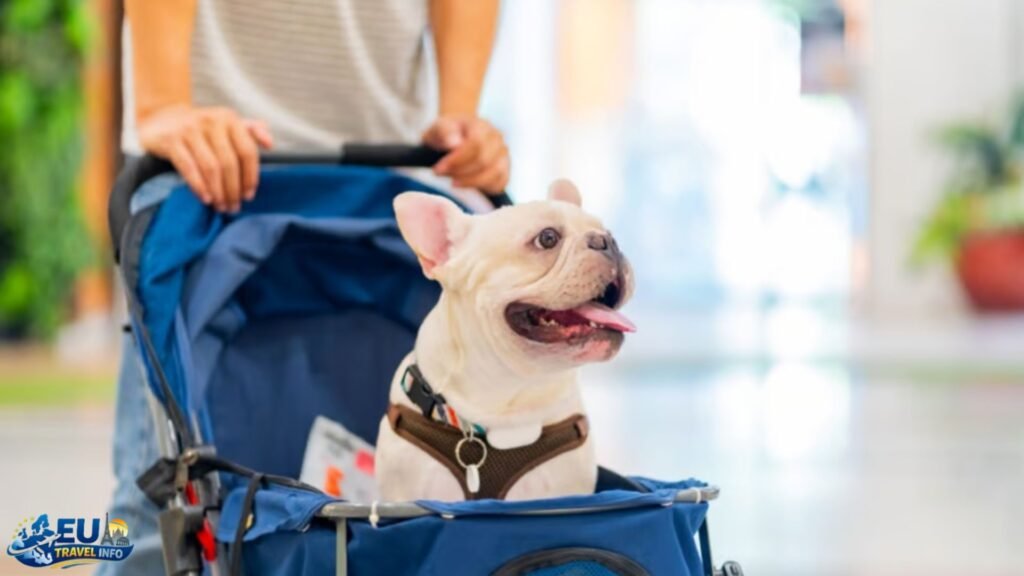 The Eurotunnel: LeShuttle