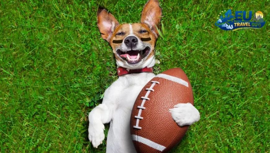 Fisher Football Club: The Most Photogenic Ground