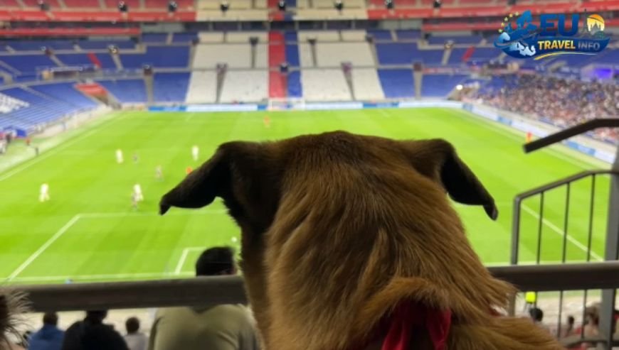 The Famous Match de Wouf Lyon vs. Paris FC