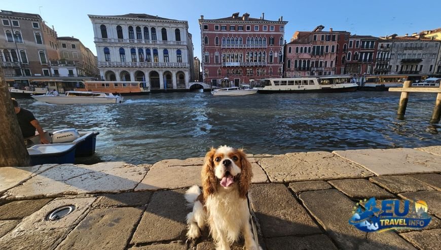 The Famous Sentiero del Viandante dog