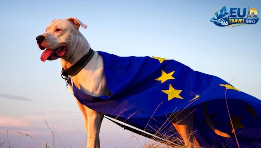 The Golden Rules of Dog Travel in Europe