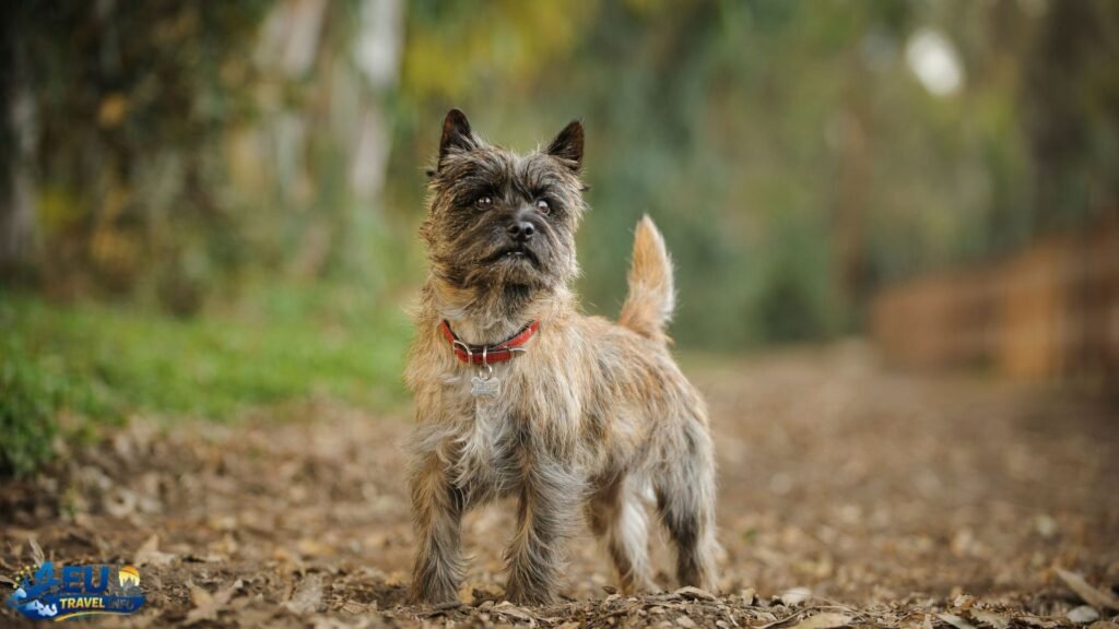 The Heritage Site Reality Check