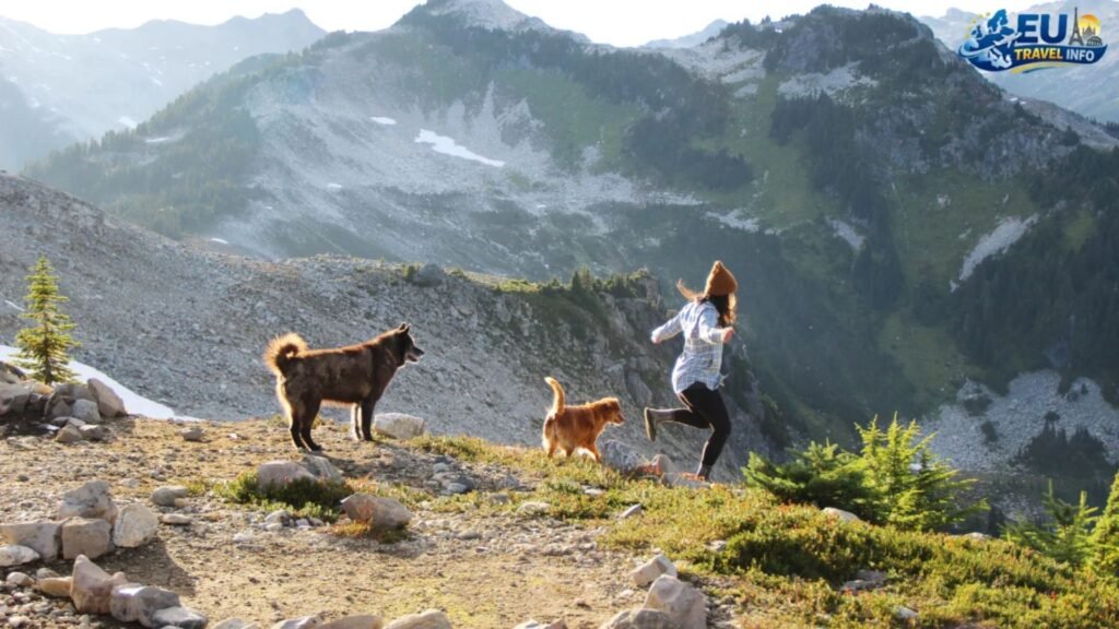 The Hike to Musala Peak dog