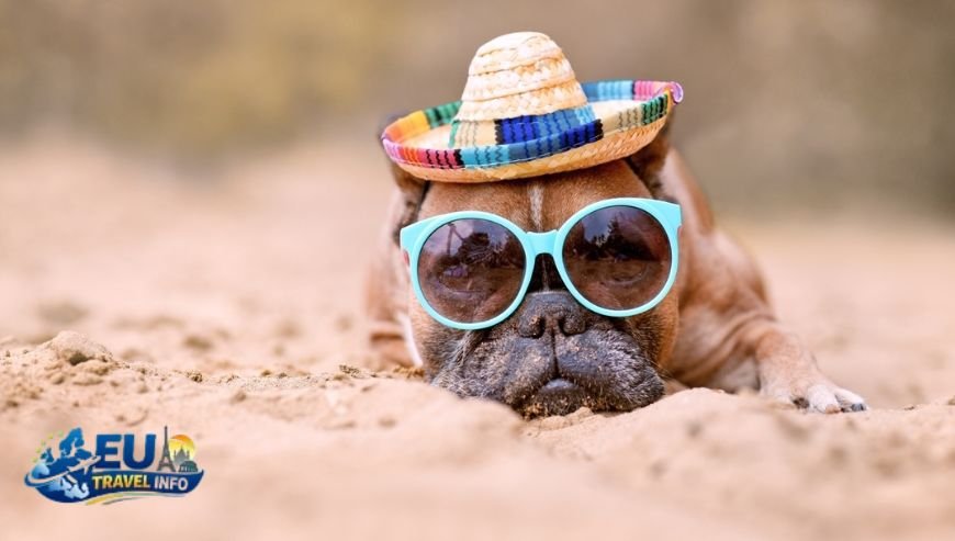 The Hunt for a South of France Villa Dog Friendly and Secure