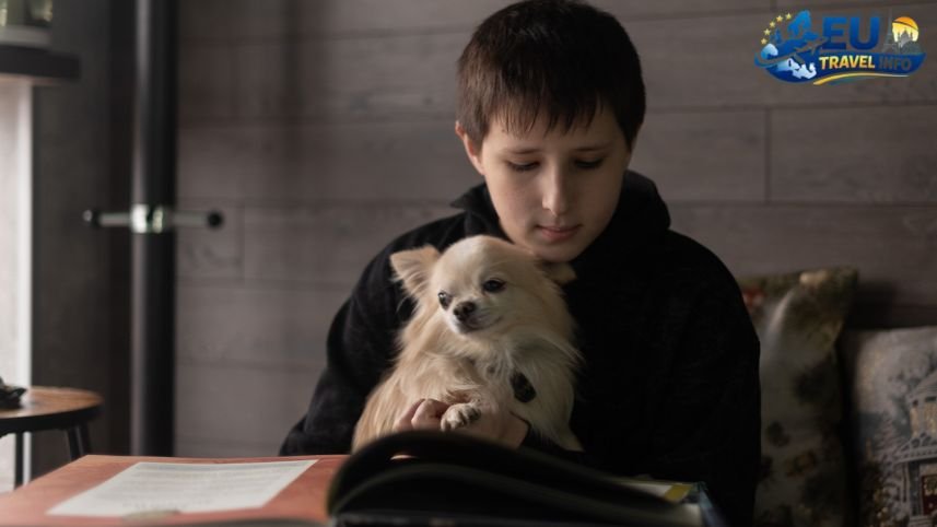 The Journey to the Heart of Ukraine dog