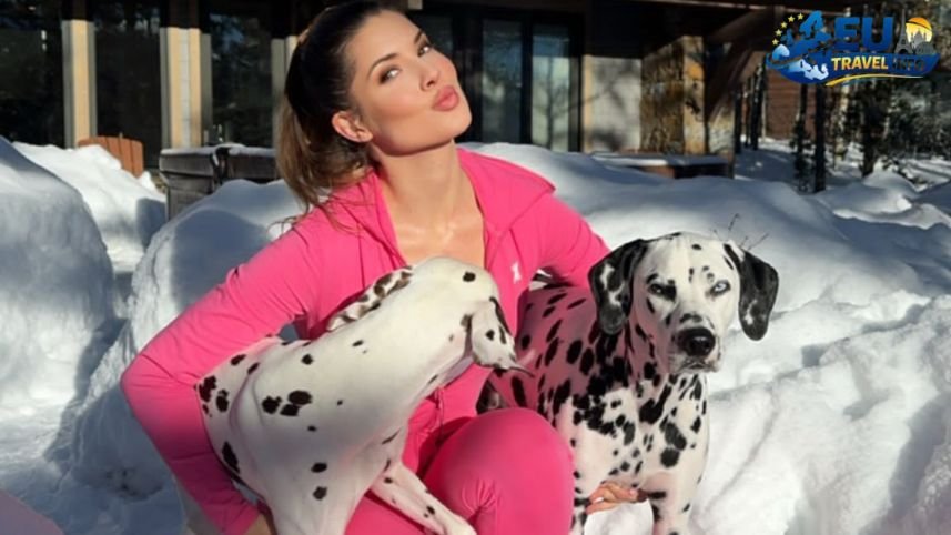 The Legal Maze Getting Ready for the Journey dog