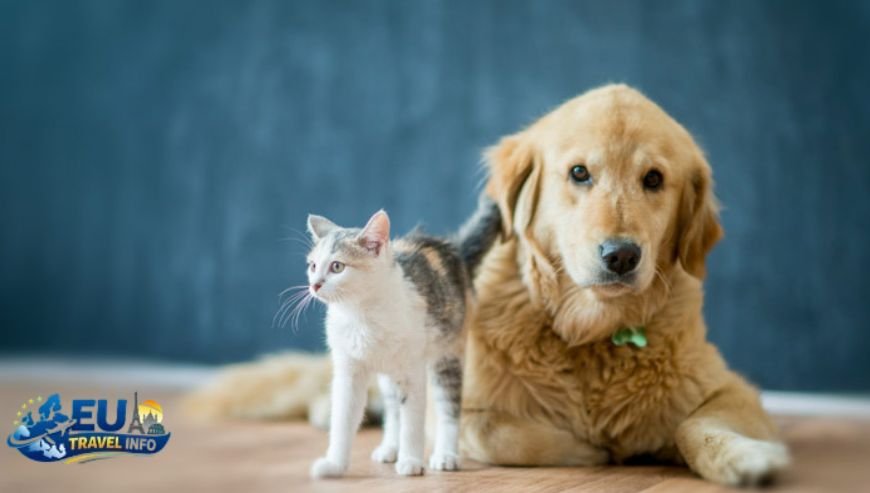 The Legal Stuff How to Get Your Pet into Bosnia