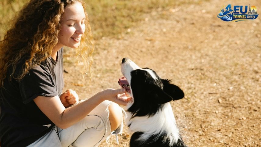The Logistics Getting Your Dog Ready for the Border