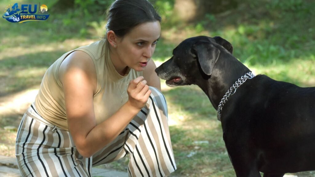 The Logistics: Getting Your Paws on the Ground