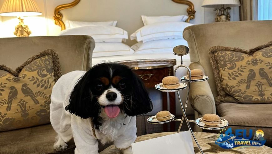 The Luxury of Aleph Rome Hotel, Curio Collection dog