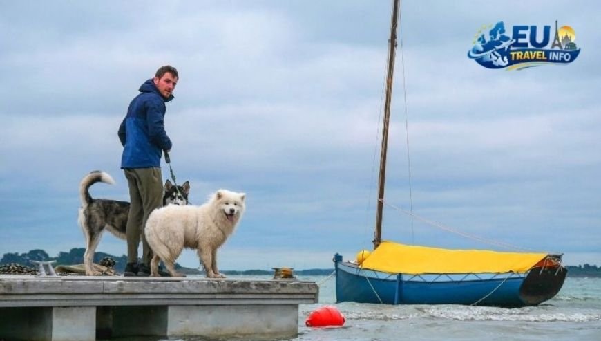 The Magic of Brittany Coastal Walks and Cozy Beds dog