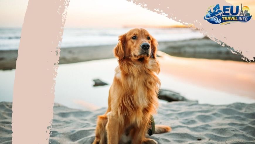 The Milestone Hotel & Residences, London – England dog