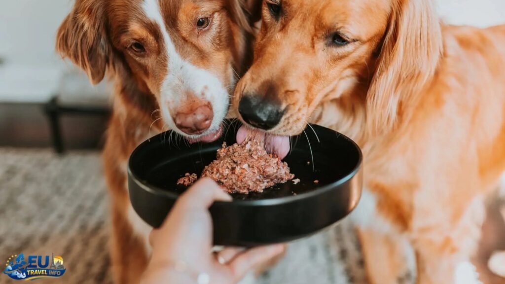 The Nitty-Gritty of Preparation