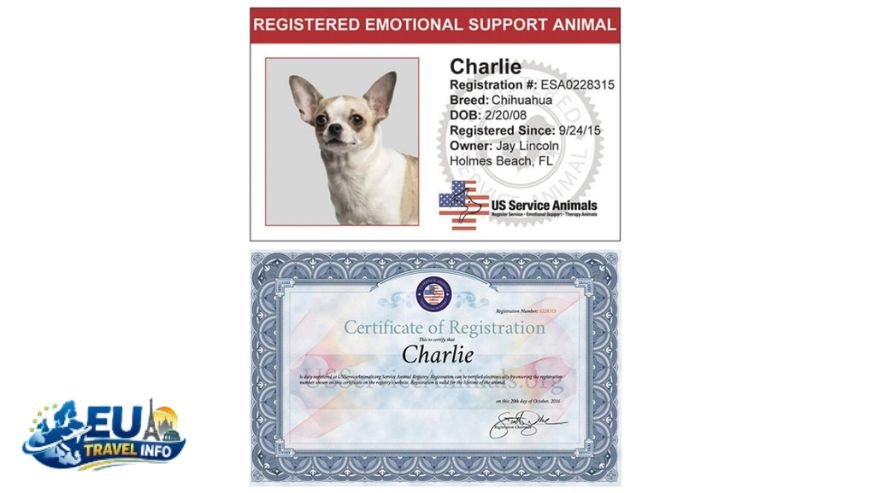 The Paperwork Form 15 and More dog