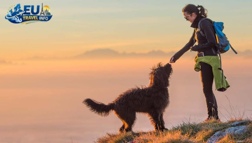 The Path of the Gods A Divine Hike with Fido dog