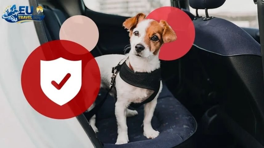 The Plan for a Perfect Dog Trip