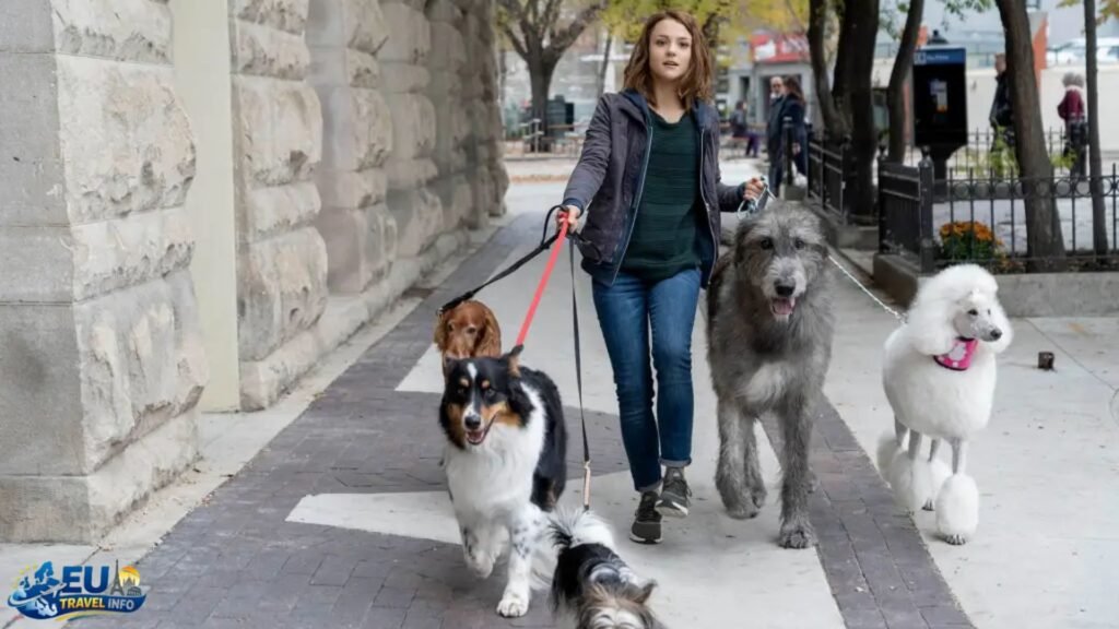 The Return Journey: Going Back to the United States