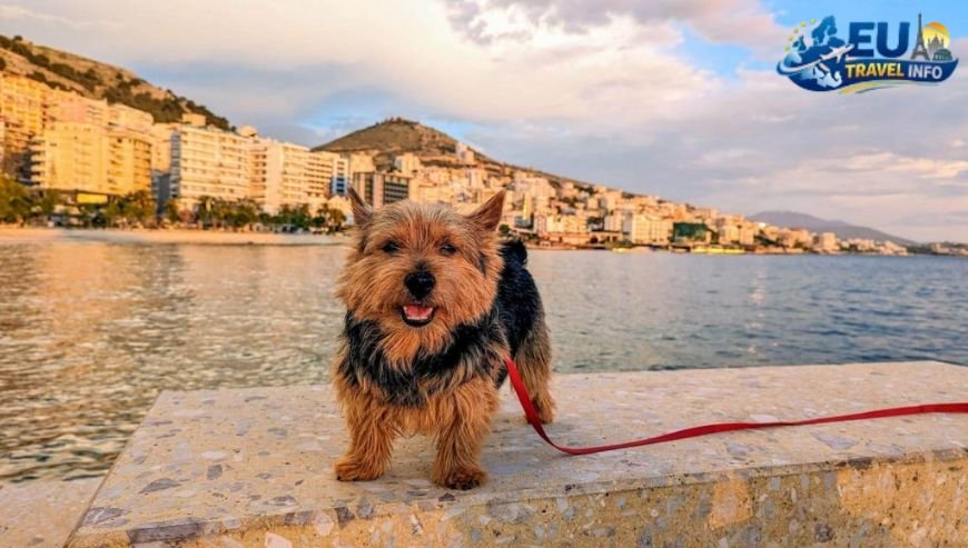 The Top Spots Around Prague A City of Water dog