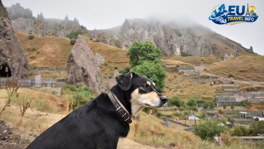 The Ultimate Guide to Exploring Yerevan with Your Dog