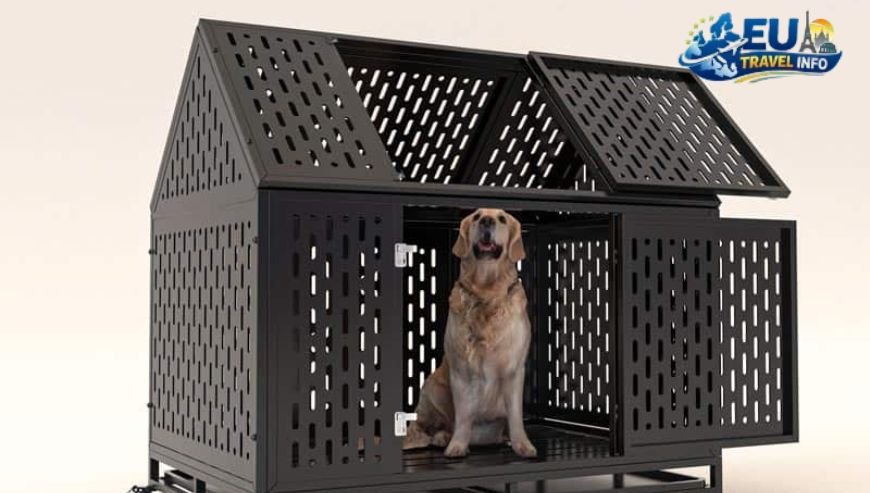 The kennels there are modern and spacious