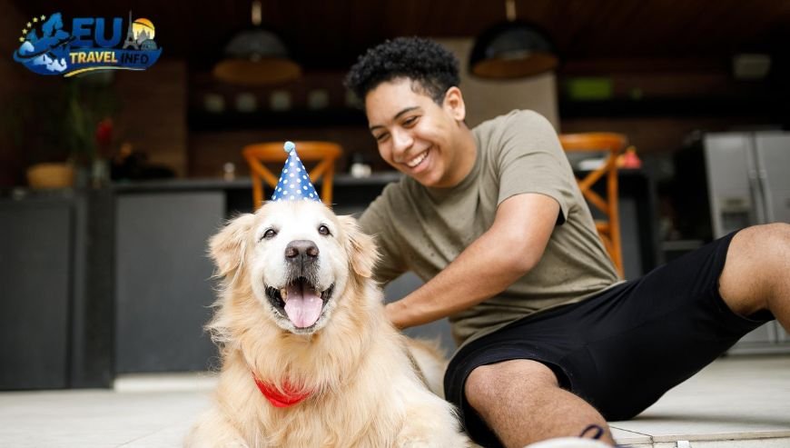 Top Activities and Sightseeing With Dog (1)