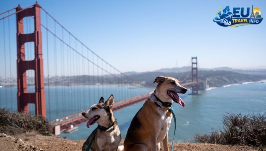 Top Activities and Sightseeing With Dog (11)