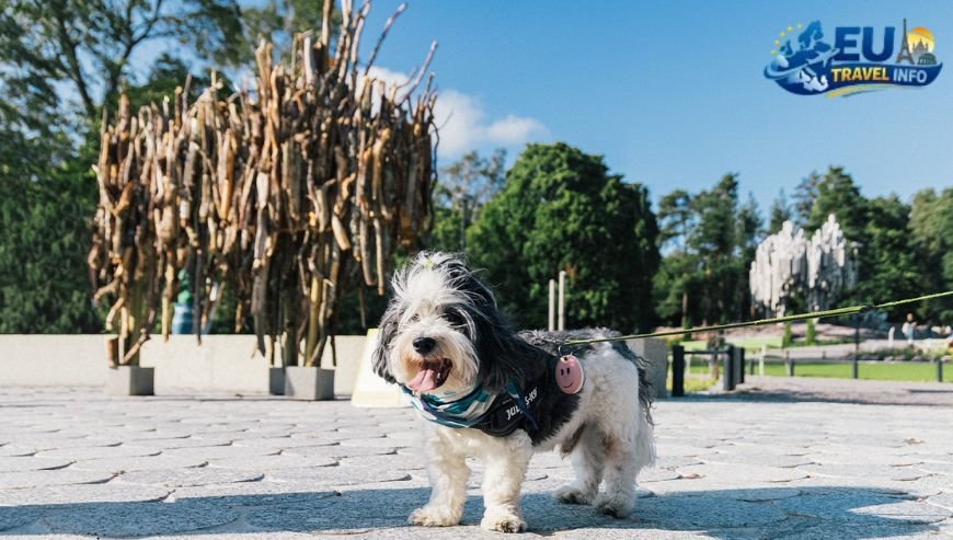 Top Activities and Sightseeing With Dog (15)