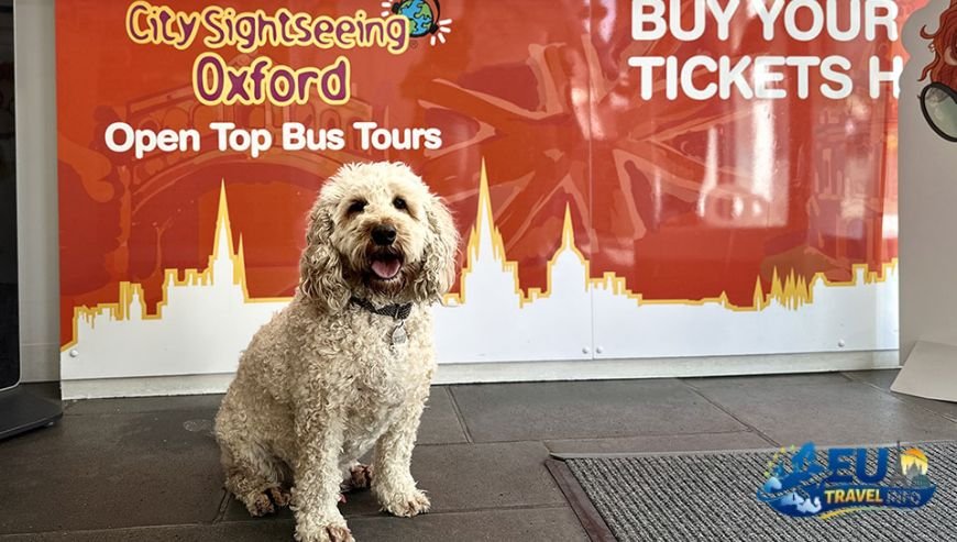 Top Activities and Sightseeing With Dog (20)