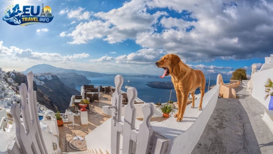 Top Activities and Sightseeing With Dog (24)