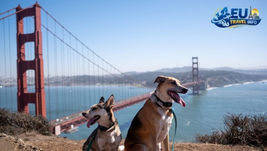 Top Activities and Sightseeing With Dog (25)