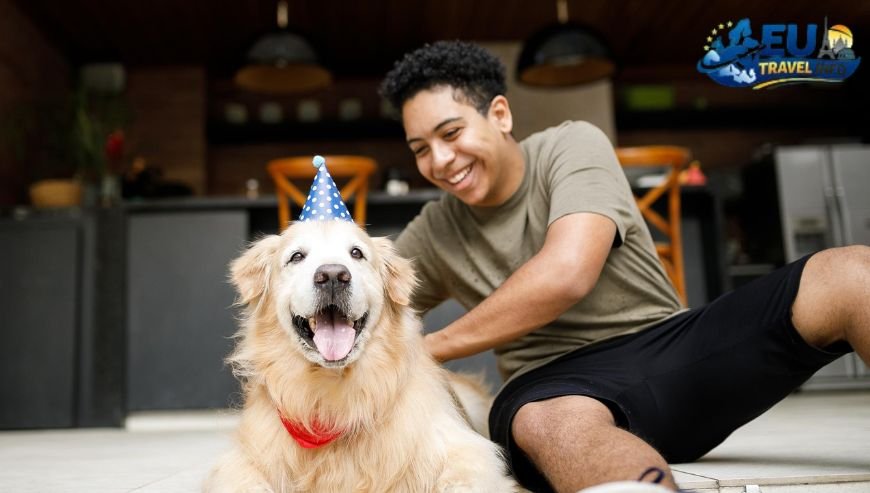 Top Activities and Sightseeing with Dog (14)