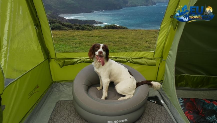 Top Pet-Friendly Campsites