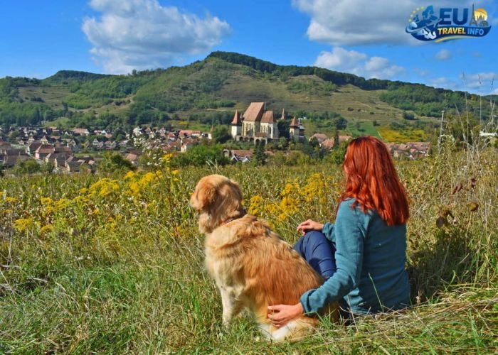 Top Pet-Friendly Countries in Europe