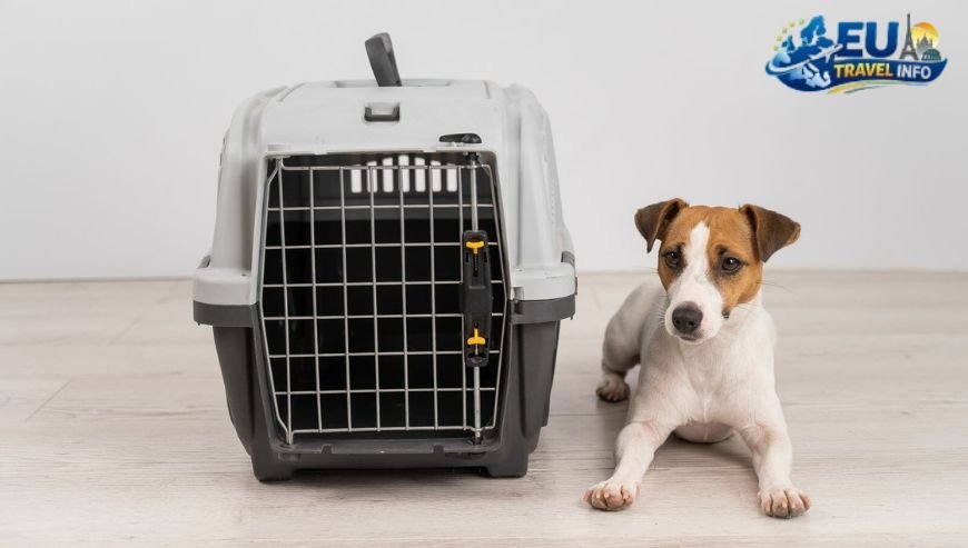 Transporting Your Furry Friend