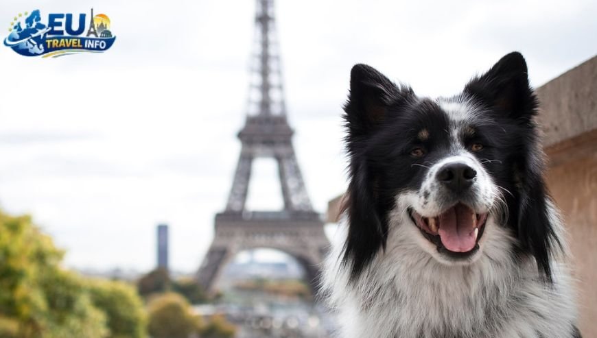 Travel to Lille, FR with your dog