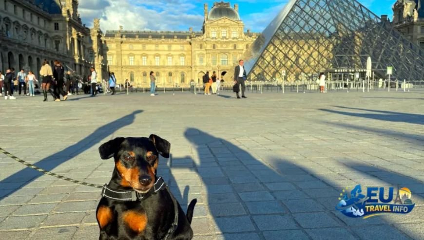 Travel to Paris, FR with your dog what you need to know