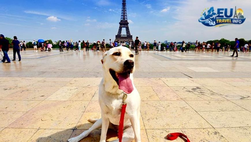 Travel to Paris, FR with your dog
