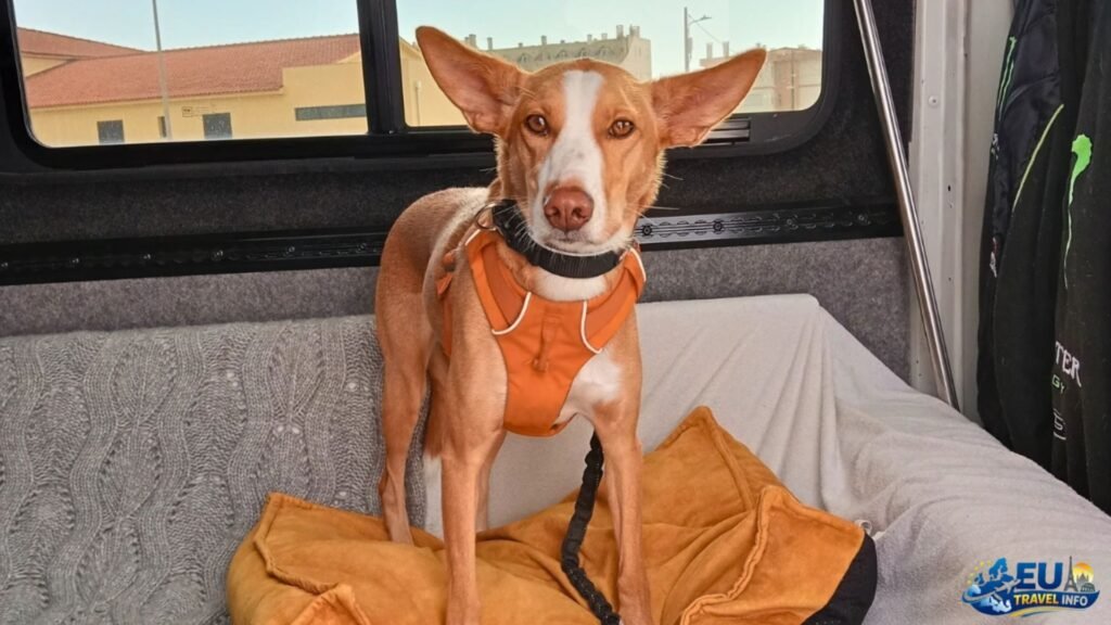 Traveling Across the Channel: Ferry and Train Tips