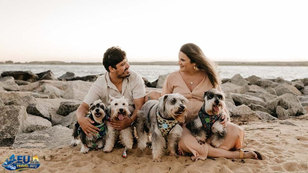 Traveling in Spain with a Dog