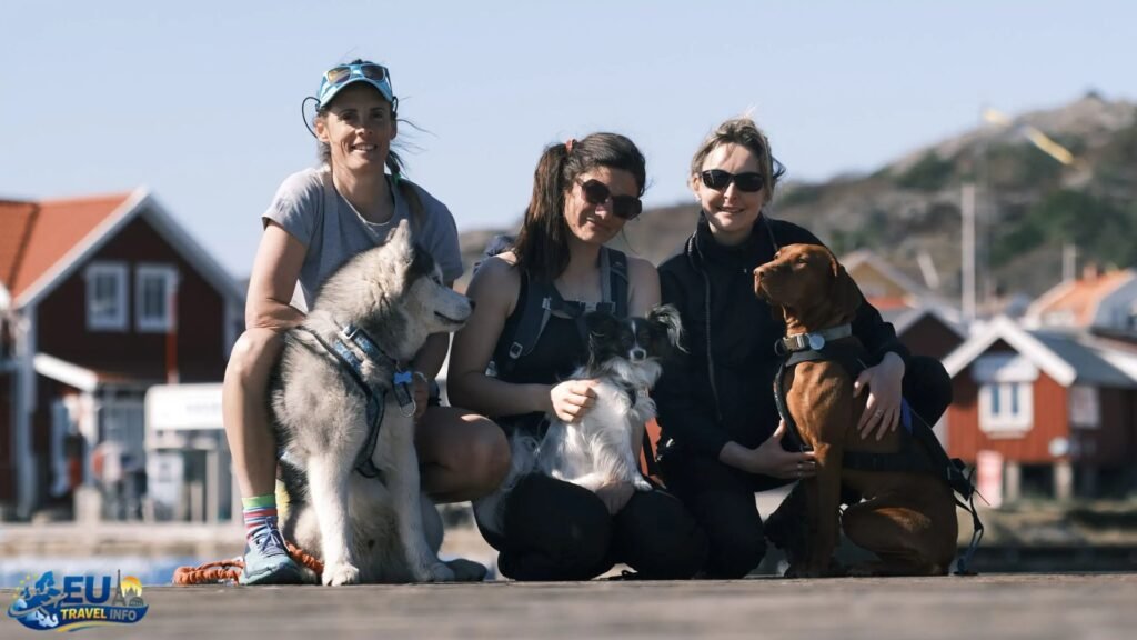 Traveling in Sweden with a Dog