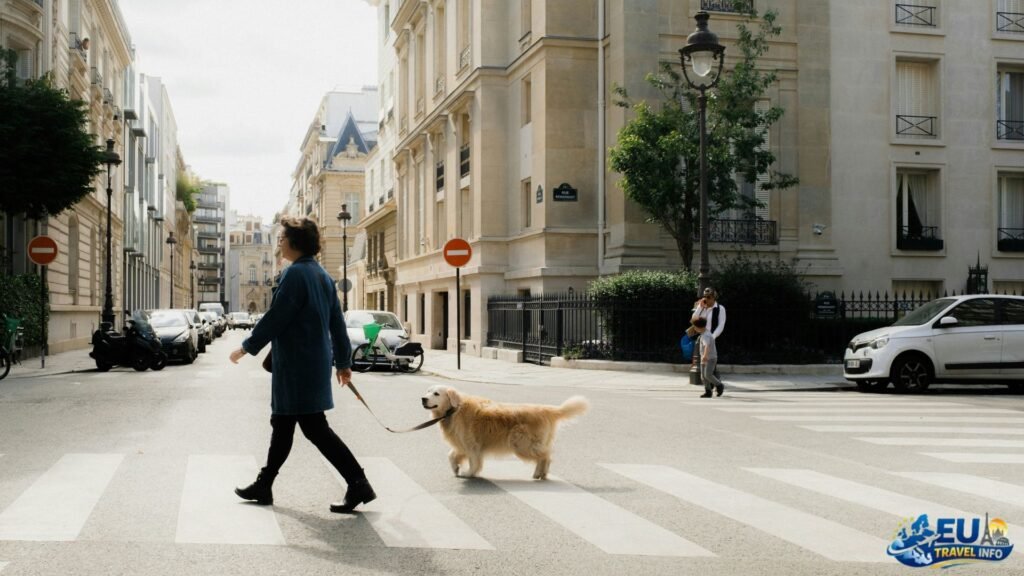 Traveling to dog-friendly cities in Europe