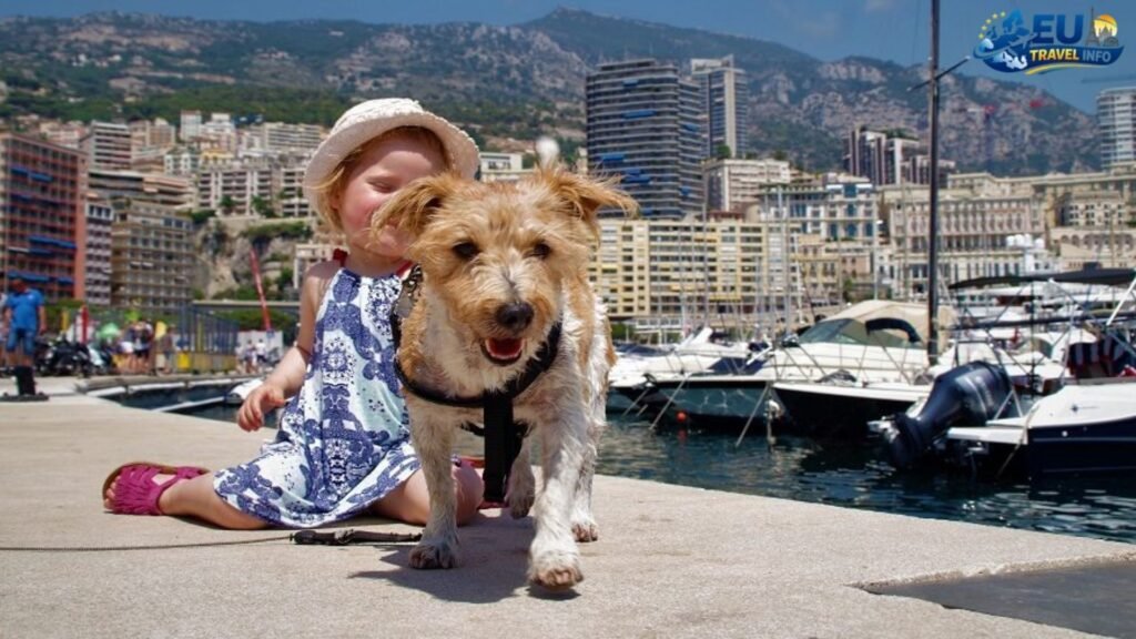 Traveling to the Republic of San Marino with a Dog