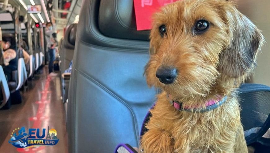 Trenitalia (Italy) dog