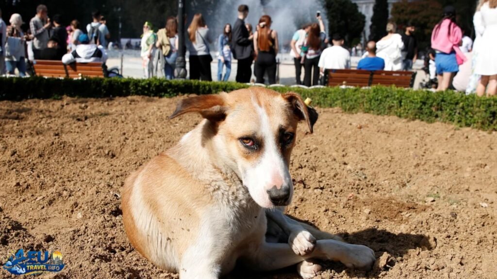 Turku: History and Riverside Walks
