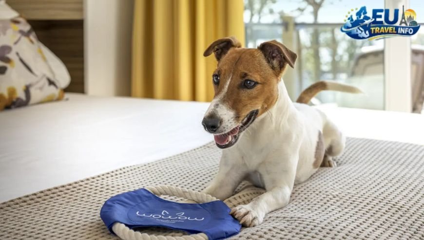 Valamar Hotels & Resorts dog